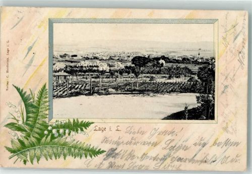 32791 W4937 Lage , Lippe 1904 Passepartout Farnblätter