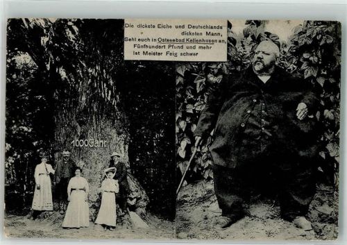Dahme 1917 Dickste Eiche Deutschlands und dicker Mann