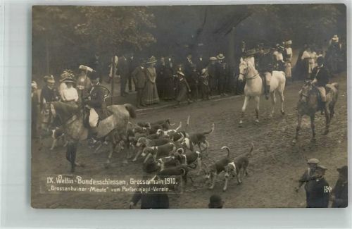 01558 O8280 Großenhain , Sachs Foto AK 9. Wettin-Bundesschiessen 1910 Grossenhainer-Meute Parforcejagd-Verein Beagel