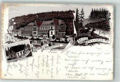 Alexisbad 1895 Verläufer Druck 1890 - 95 Hotel Försterlin Badehaus