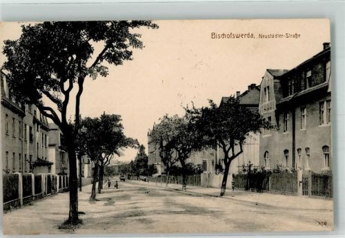 01877 O8500 Bischofswerda 1913 - Neustädter-Straße