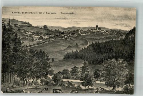 Kappel 1912 Kappel Rinderweide