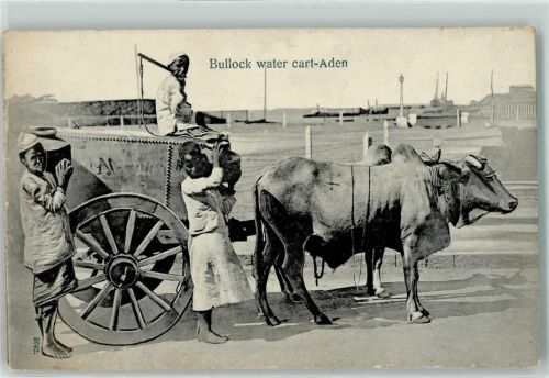Aden Bullock water cart-Aden Volkstypen Tiergespanne AK