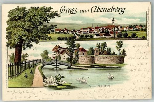 Abensberg 1898 Amtsgericht Ruine Abensberg Seerosen