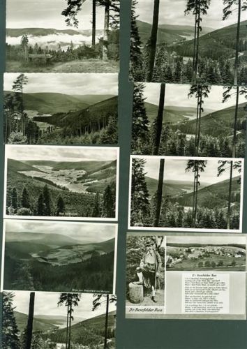Besenfeld Lot mit 16 AK