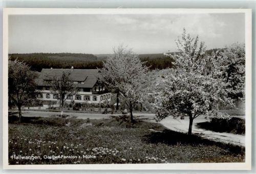Hallwangen Gasthaus Pension zur Mühle