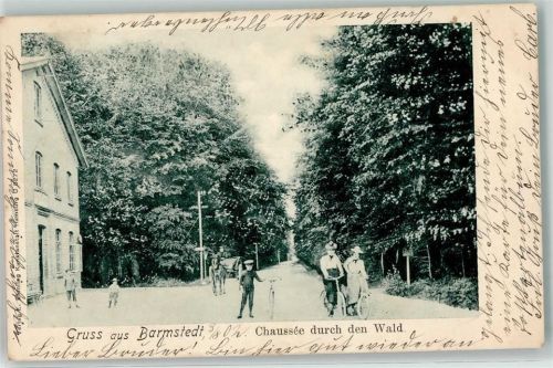 Barmstedt 1902 Chaussee durch den Wald Fahrrad Kutsche Gruss Bahnpost Elmshorn