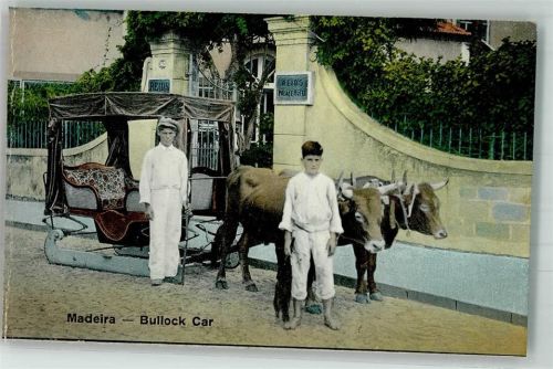 Madeira Hotel Reids Ochensschlitten