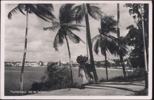 um 1930/40 Daressalaam, Tansania, Afrika, Hafen, Palmen, einheimische Frau,The Newman Art Publishing
