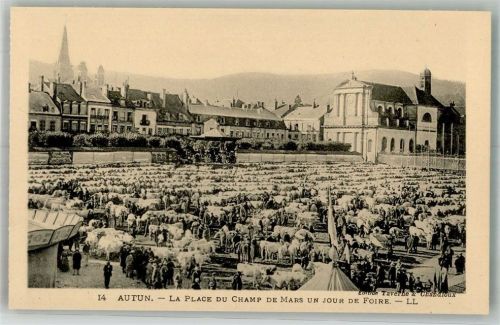 Autun Marktszene Viehmarkt