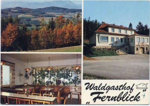 1968 Hochwolkersdorf, Waldgasthof -Fernblick- AKU1
