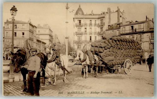 Marseille Pferdewagen Attelage Provencal