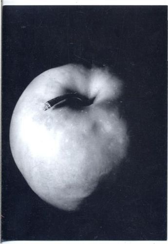 um 1990/2000 Der Apfel, Nr. 057,xx,sign. Freya Könecke AKU1