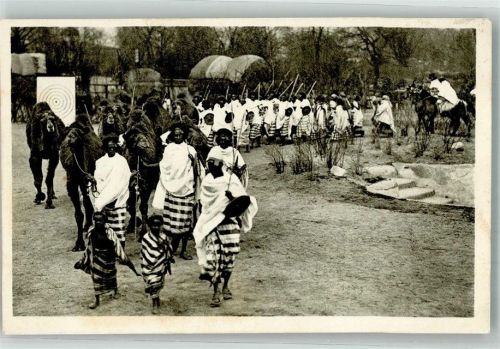 W2000 Stellingen Volkerschau Somalia Ostafrika Volkstypen mit Kamele Zoo 1929 Foto AK