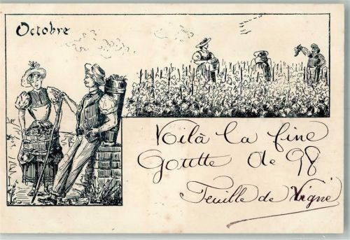 1899 Oktober Weinlese