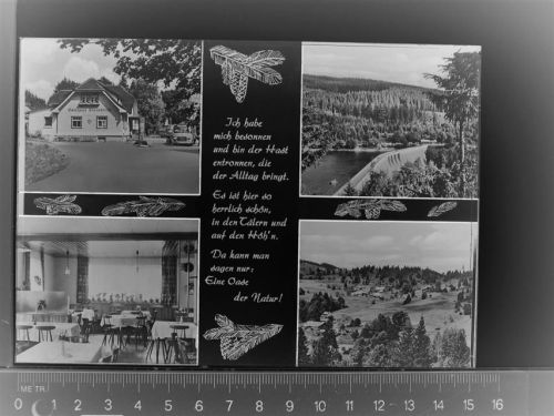 79859 W7826 Blasiwald GLASNEGATIV Gasthaus Eisenbreche