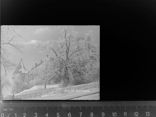 48455 W4444 Bad Bentheim GLASNEGATIV Schloss Bentheim