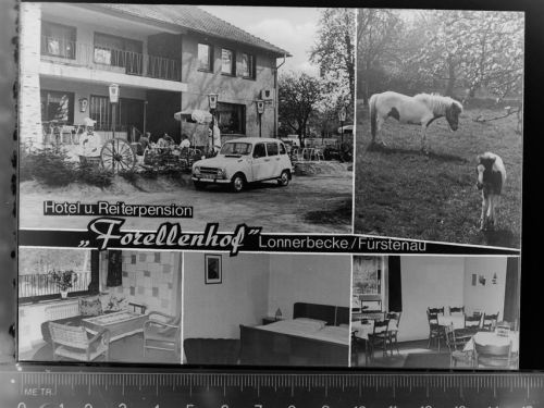 49584 W4557 Fürstenau b Bramsche, Hase GLASNEGATIV Hotel u. Reiterpension Forellenhof