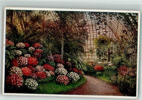 Wien Ausstellung Botanischer Garten PalmenhausnSchönbrunn