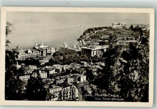 Monte Carlo Panorama