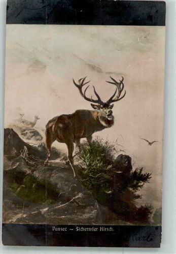 1905 sign. Pansec Sichernder Hirsch