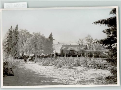 Langscheid Winter Skilangläufer