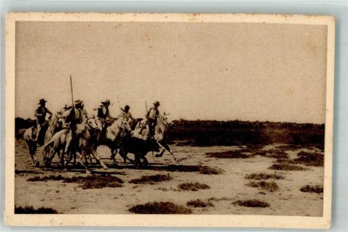Saintes-Maries-de-la-Mer Camargue-Pferd