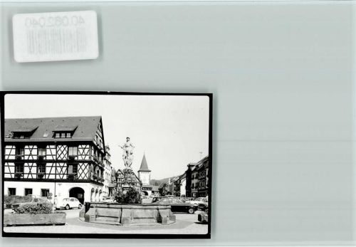 Gengenbach Brunnen Fachwerkhaus