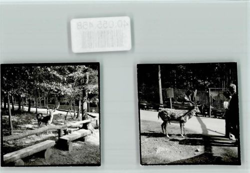 Edersee Wildpark