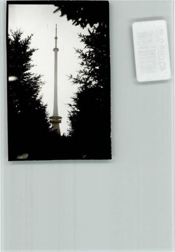 Dannenfels Donnersberg Turm