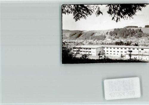 Elzach Ortsansicht