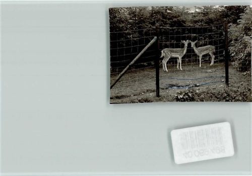 Westerburg Märchenpark