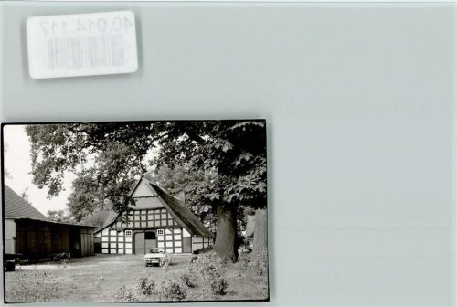 49459 W2841 Lembruch FOTO KEINE AK Reetbauernhäuser
