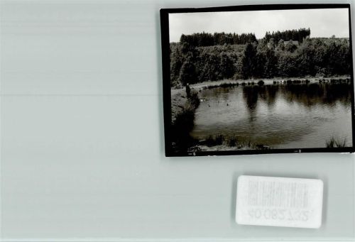 Silberborn Baden im See