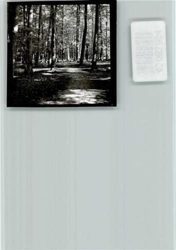 Obenstrohe Wald