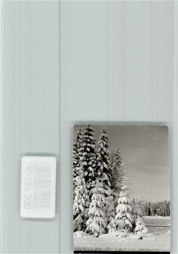 Neuhaus Verschneite Tannen