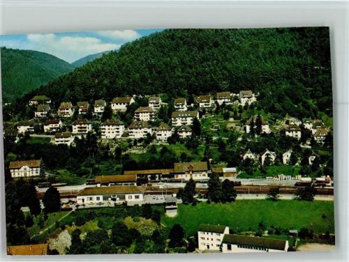 Hornberg Luftaufnahme Teilansicht