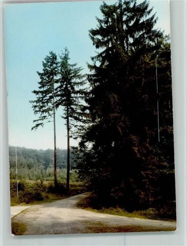 Bad Münder Waldpartie