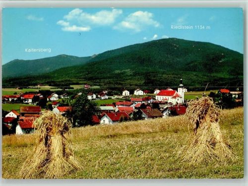 Arnbruck Ortsansicht und Getreidestände