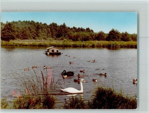 Meißendorf Hüttenseepark
