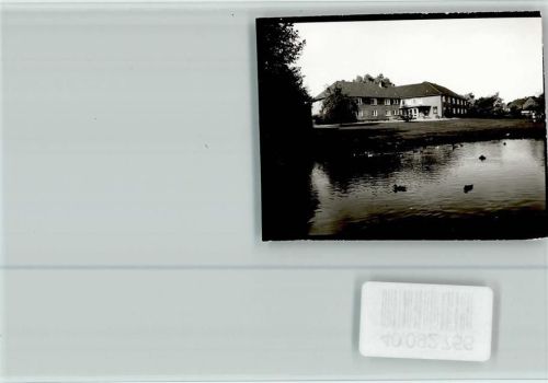 Garding See mit Enten