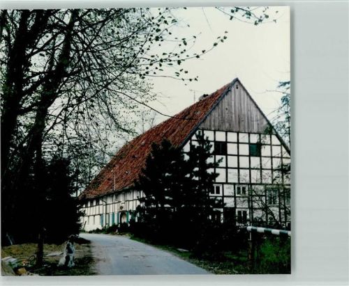 Liesborn Foto TK80