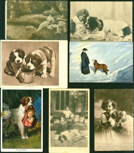 Lot mit 22 AK, ca. 1905-1989; überwiegend gute Erhaltung, teils gelaufen Bernhardiner Posten 21 bis 100 AK