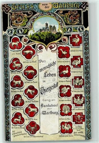 Wartburg Eule / Das menschliche Leben in Tiergestalt