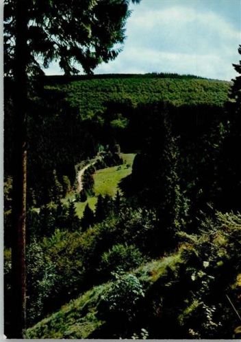 Willingen