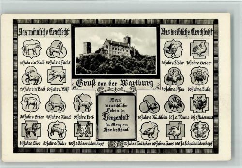 Wartburg Das menschliche Leben in Tiergestalt, Eule, gute Erhaltung