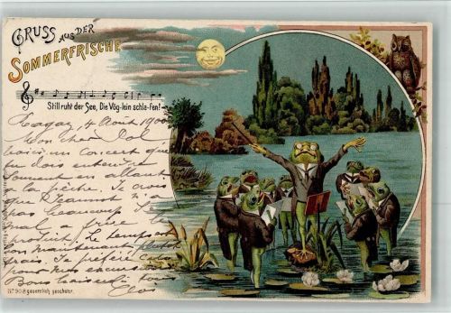 Sommerfrische Eule vermenschlicht Seerosen