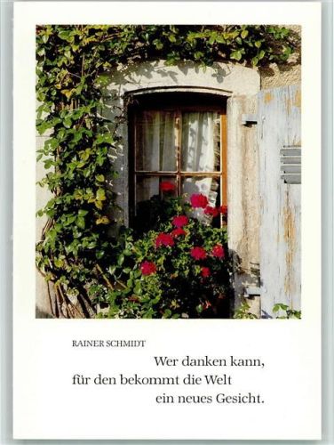 Geranien im Blumenkasten AKU2 Blume