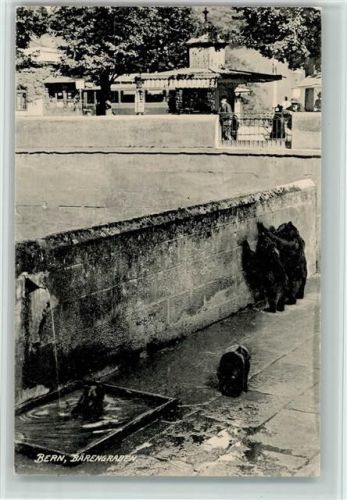 Bern Bären / Bärengraben