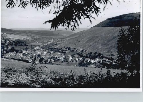 Niederfell Foto